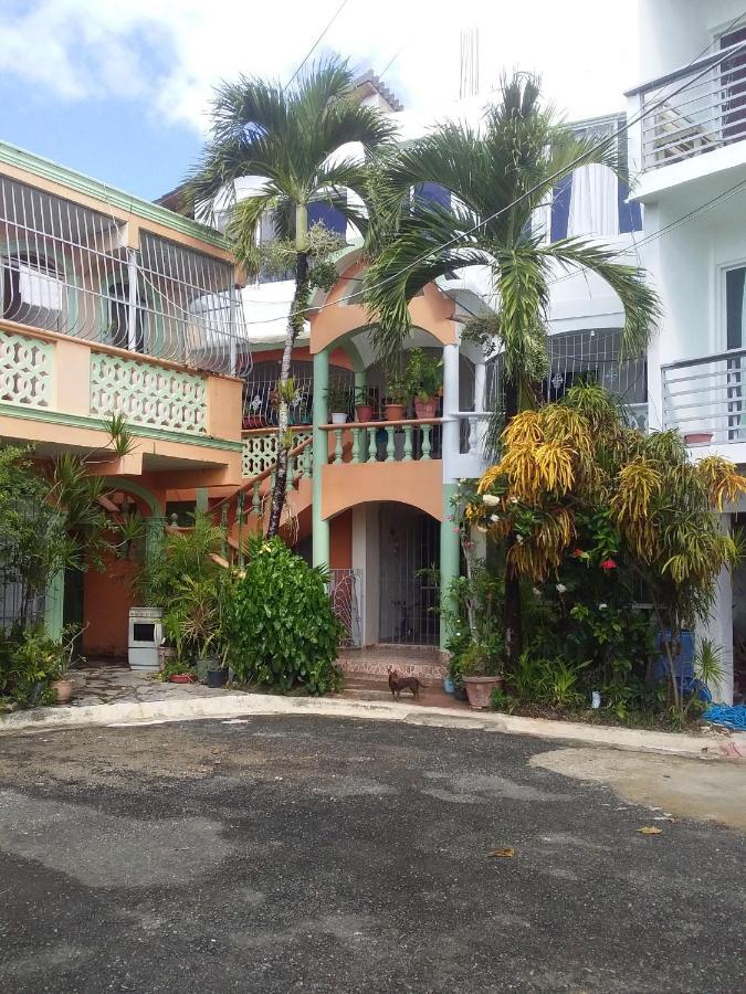 Room In Guest Room - Best Bed And Breakfast In Samana Breakfast Included Ngoại thất bức ảnh